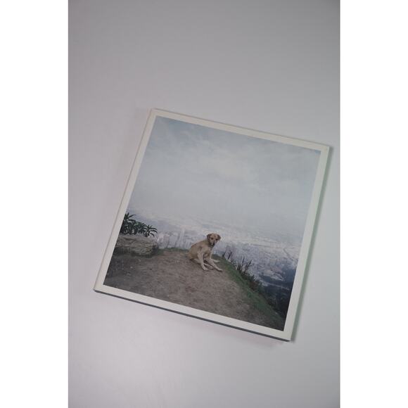 Alec Soth, Dog Days Bogota Hardcover Book RARE Minnesota Photographer - Picture 2 of 15